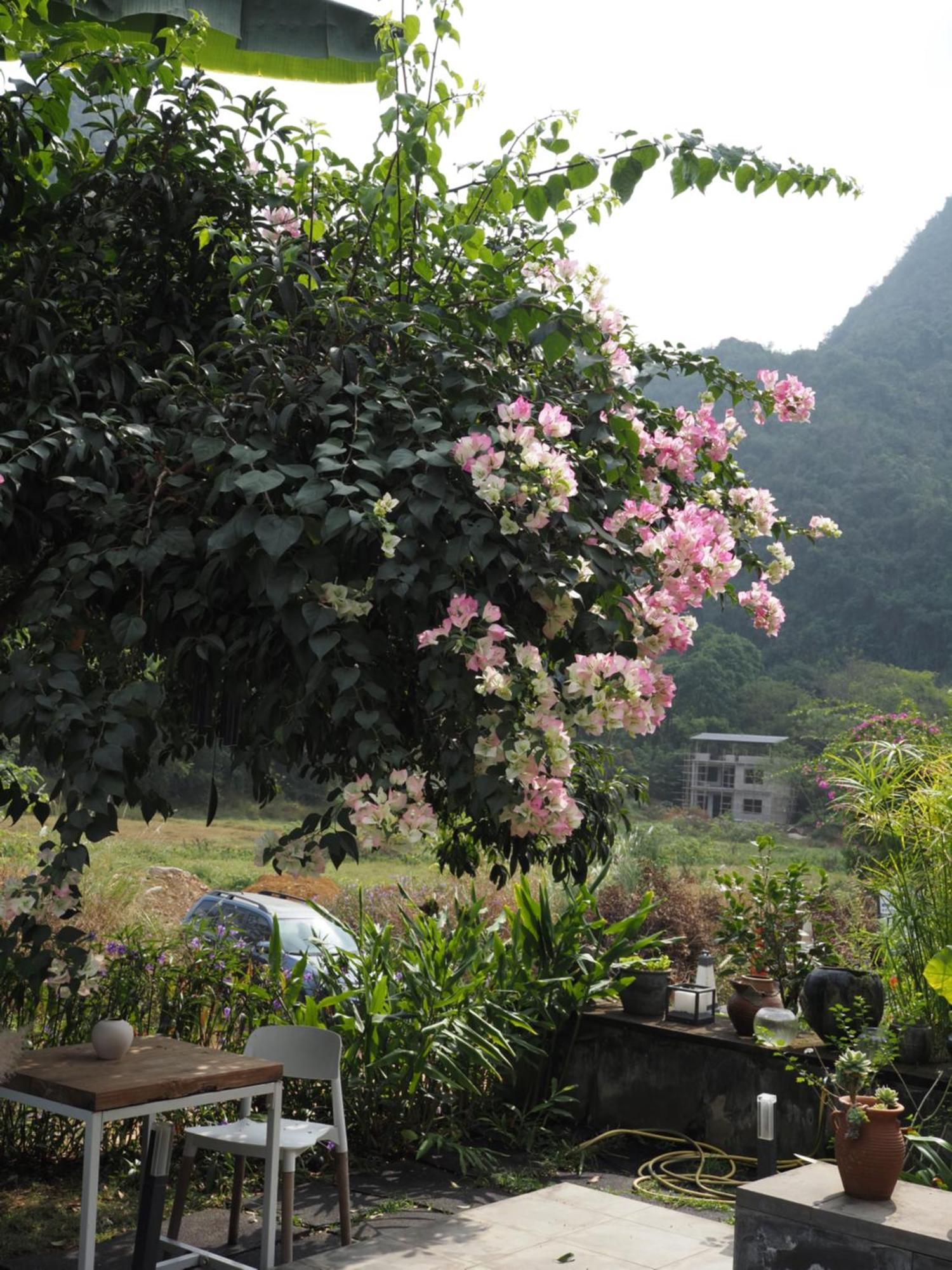 Yangshuo Hillside Homestay المظهر الخارجي الصورة