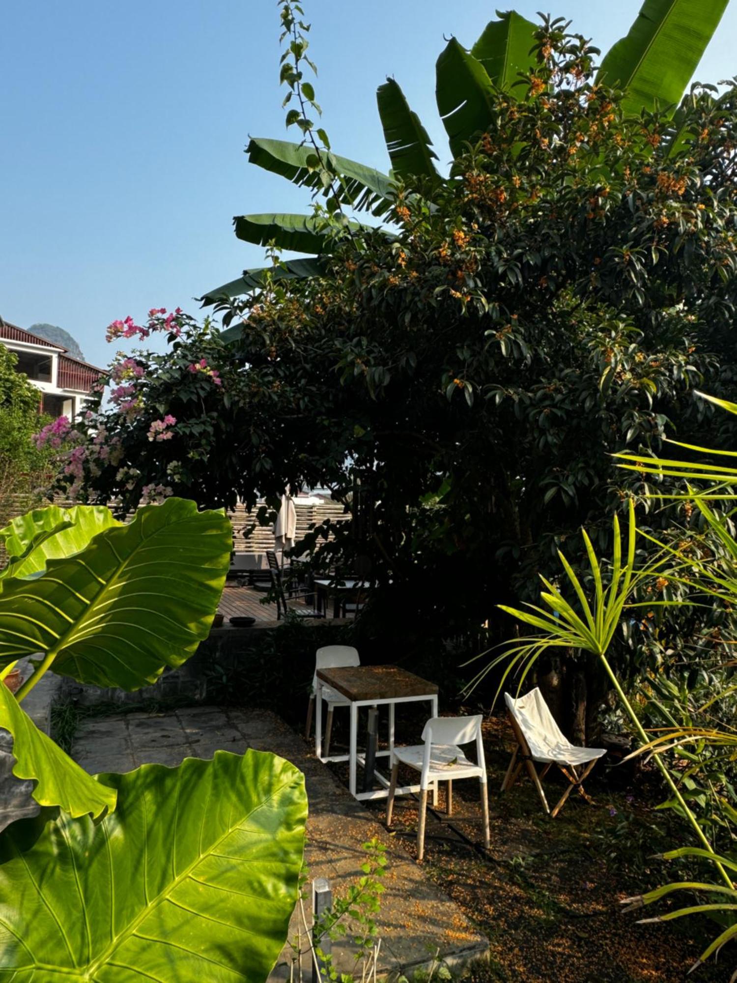 Yangshuo Hillside Homestay المظهر الخارجي الصورة
