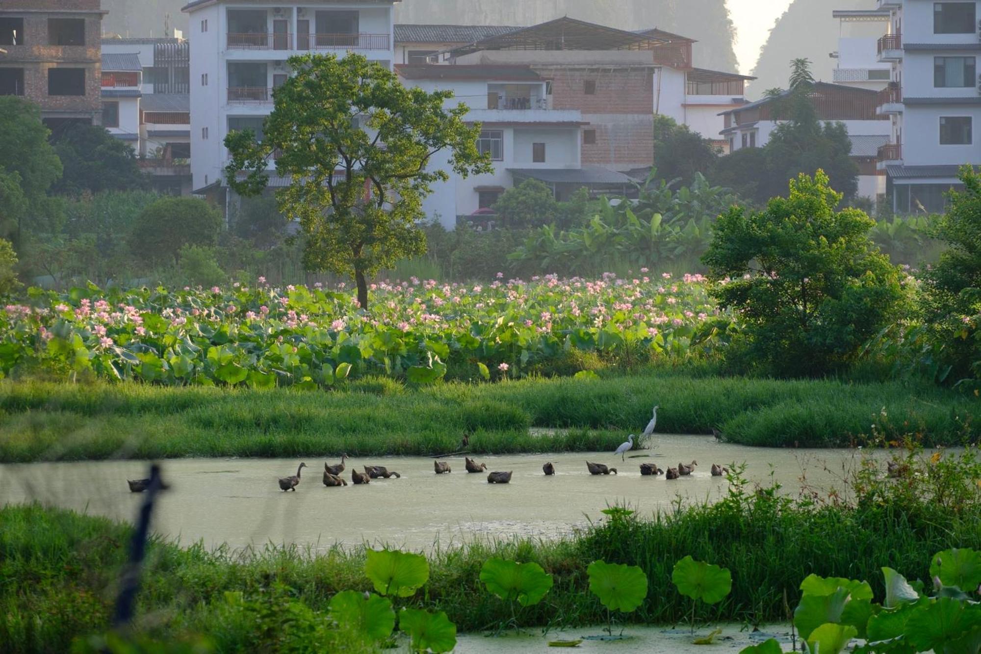Yangshuo Hillside Homestay المظهر الخارجي الصورة