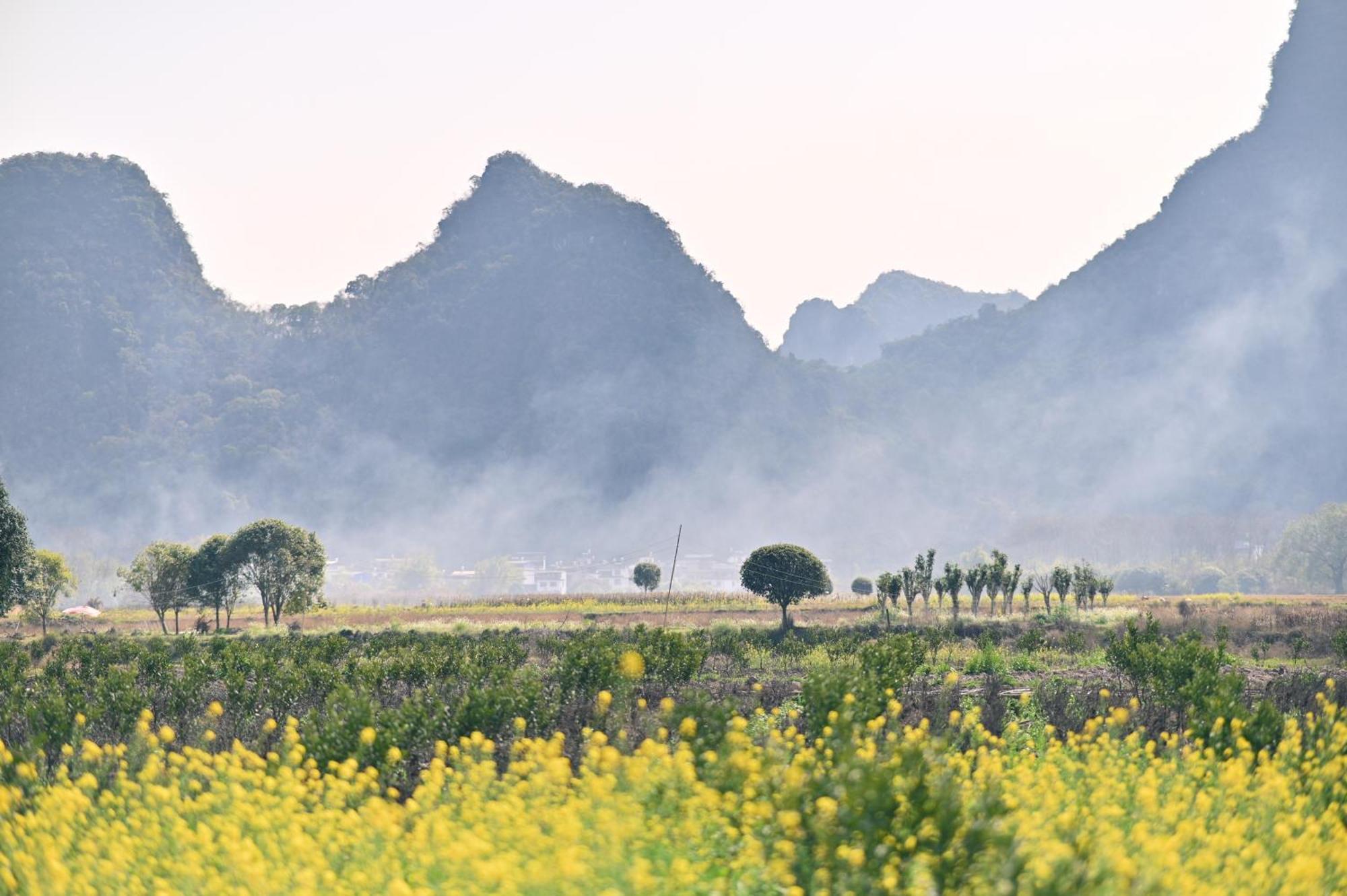 Yangshuo Hillside Homestay المظهر الخارجي الصورة